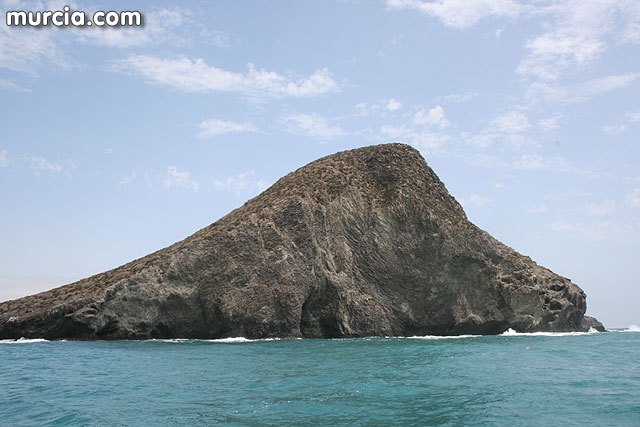 ANSE pide a la Comunidad Autónoma que no abandone Isla Grosa - 1, Foto 1