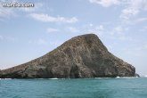 ANSE pide a la Comunidad Autnoma que no abandone Isla Grosa