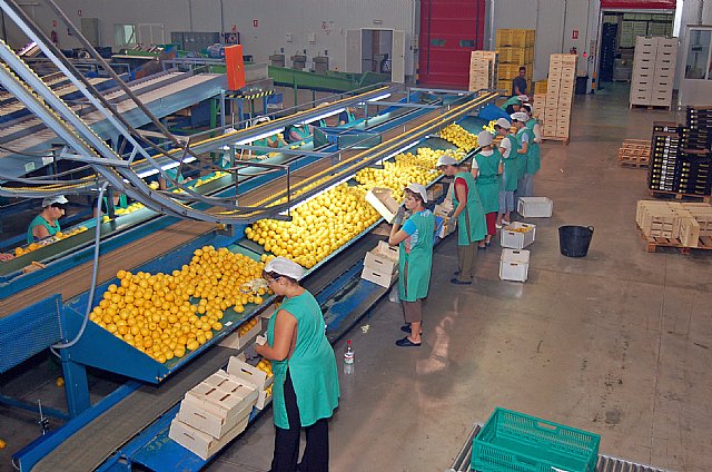 Agricultura se reúne con el sector para planificar la campaña de exportación de clementinas a EEUU - 1, Foto 1