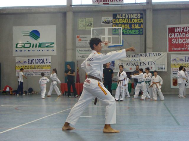 Más de 70 luchadores disfrutan del Taekwondo en el Pabellón de San José - 1, Foto 1