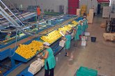 Agricultura se reúne con el sector para planificar la campaña de exportación de clementinas a EEUU