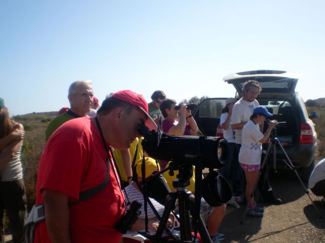 PADISITO particip el pasado domingo 9 de octubre en el Dia Mundial de las Aves, visitando el Parque Regional de Calblanque - 8