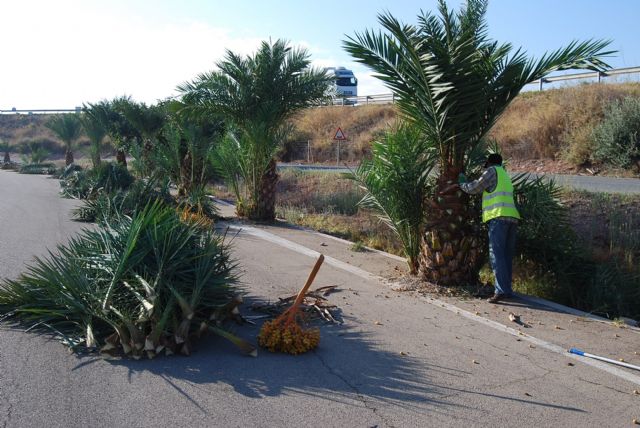 Ponen en marcha un plan de choque para limpiar los parques y zonas comunes verdes en el Polígono Industrial El Saladar - 1, Foto 1