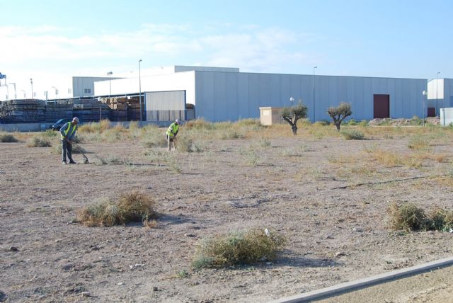 They start an emergency plan to clean up parks and green areas in the industrial area "The Saladar", Foto 2