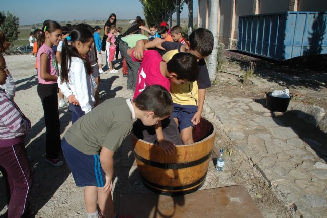Niños: de la uva, el vino - 1, Foto 1