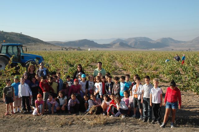Niños: de la uva, el vino - 3, Foto 3
