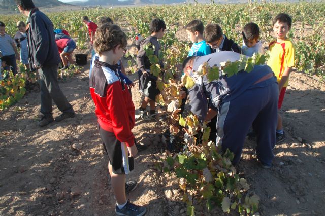 Niños: de la uva, el vino - 4, Foto 4