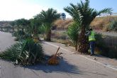 Ponen en marcha un plan de choque para limpiar los parques y zonas comunes verdes en el Polígono Industrial 'El Saladar'