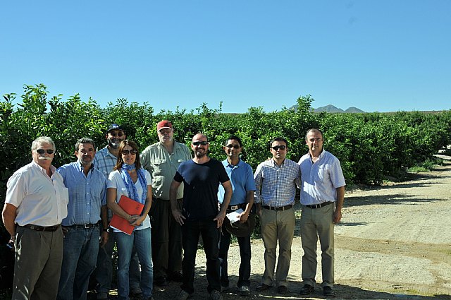 Los inspectores fitosanitarios de EEUU se muestran satisfechos con el buen estado de los ctricos de la Regin de cara a la exportacin, Foto 1