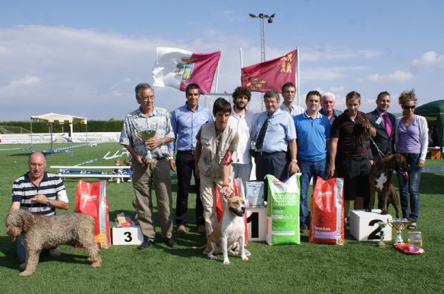 El Concurso Nacional Canino 'Ciudad de Puerto Lumbreras' congregó a 300 ejemplares de más de 50 razas caninas - 1, Foto 1