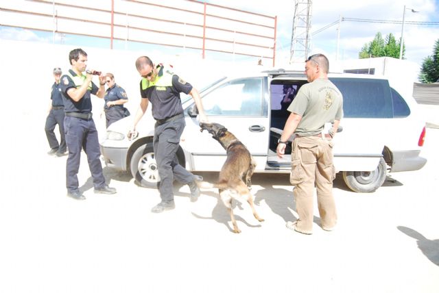 The Canine Unit Meeting of the Local Police focuses its training sessions in the detection of drugs and explosives, Foto 3
