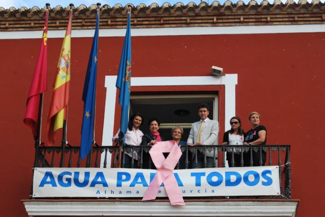 El Ayuntamiento se une a la campaña contra el cncer de mama y tambin se viste de rosa, Foto 1