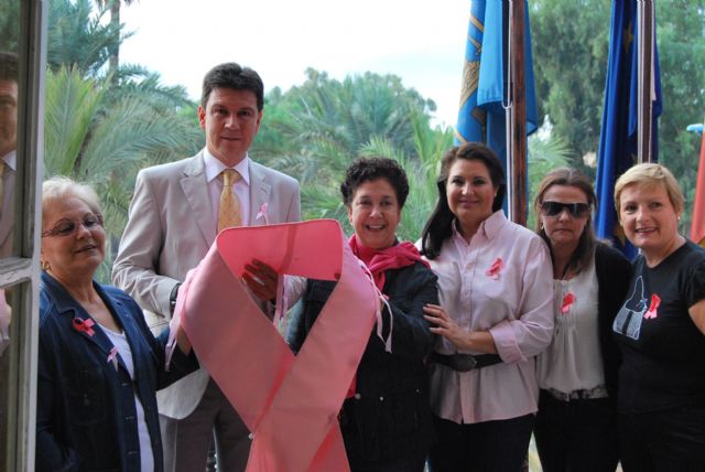 El Ayuntamiento se une a la campaña contra el cncer de mama y tambin se viste de rosa, Foto 2