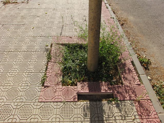 Los vecinos de Caneja piden que se les atienda como al resto de pedanías - 1, Foto 1