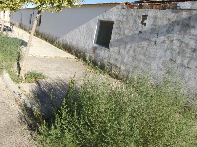 Los vecinos de Caneja piden que se les atienda como al resto de pedanías - 4, Foto 4