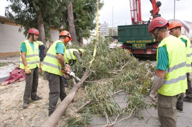 Corte total de tráfico en el puente de Quitapellejos - 1, Foto 1