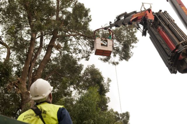 Corte total de tráfico en el puente de Quitapellejos - 2, Foto 2