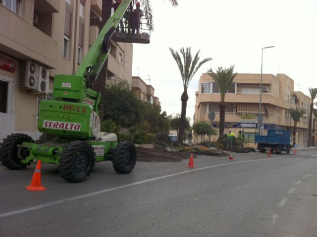 Se inician los trabajos de poda y fumigación de las palmeras en los parques y jardines del casco urbano - 2, Foto 2