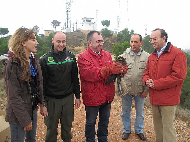 La Comunidad libera tres ejemplares de aves rapaces en el Parque Regional de El Valle y Carrascoy, Foto 1