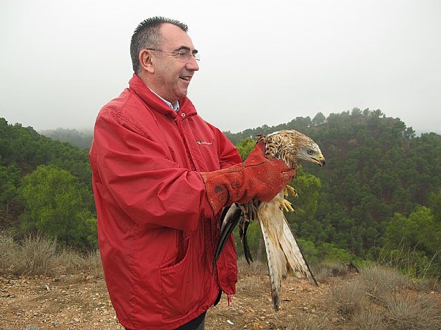 La Comunidad libera tres ejemplares de aves rapaces en el Parque Regional de El Valle y Carrascoy, Foto 2
