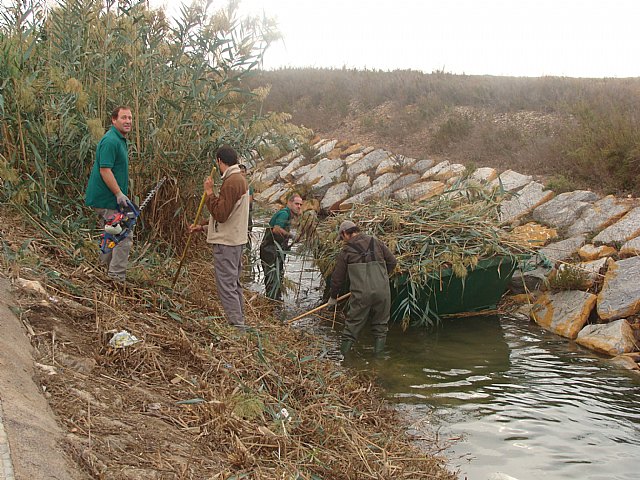 Más de una decena de operarios limpian el canal perimetral del Parque de Salinas y Arenales - 2, Foto 2