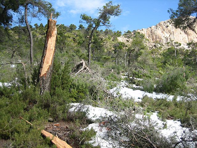 El Gobierno Regional declara bien cultural el yacimiento megalítico del Morrón, en el Parque Regional de Sierra Espuña, Foto 1