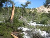 El Gobierno Regional declara bien cultural el yacimiento megalítico del Morrón, en el Parque Regional de Sierra Espuña