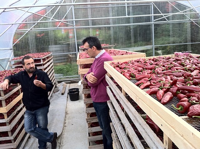 Representantes de la D.O.O. Pimentn de Murcia participan en los actos de la fiesta de la D.O.P. Pimiento de Espelette (Francia) - 9