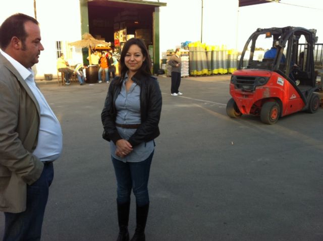 Unas veinte personas participan en el Curso de prevención de riesgos laborales en el puesto de trabajo: manejo seguro de carretillas, elevadores y traspaletas - 3, Foto 3