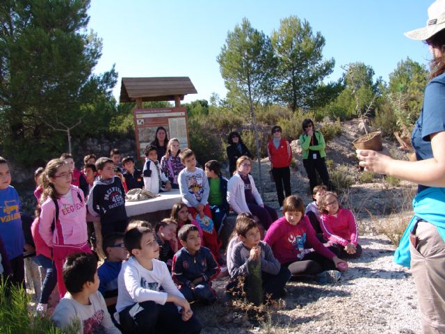 Alumnos del Colegio Público Obispo García Ródenas participan en la campaña Verde que te quiero, Vía Verde - 2, Foto 2