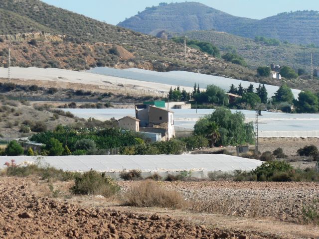Hasta el día 17 se pueden pedir ayudas por daños en explotaciones agrícolas de Mazarrón causados por las lluvias de 2009 - 2, Foto 2