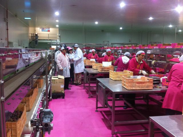 José Joaquin Peñarubia y Arsenio Pacheco visitan varias empresas del municipio - 3, Foto 3