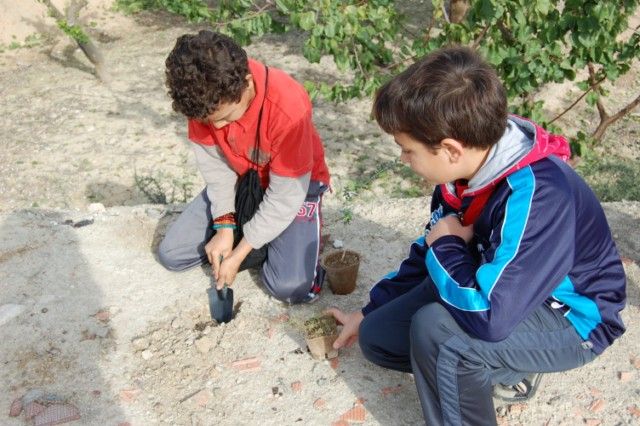 Los escolares de Alguazas reforestan la Vía Verde del Noroeste - 1, Foto 1
