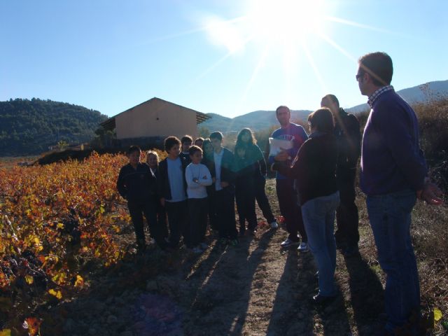 Los escolares del Colegio Amor de Dios visitan la Bodega Monastrell para conocer, in situ, la problemática del cambio climático - 1, Foto 1
