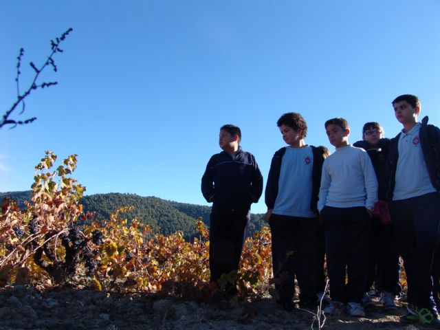 Los escolares del Colegio Amor de Dios visitan la Bodega Monastrell para conocer, in situ, la problemática del cambio climático - 2, Foto 2