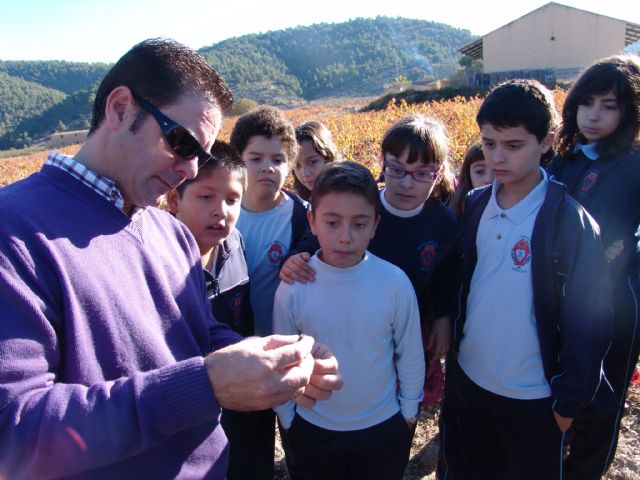Los escolares del Colegio Amor de Dios visitan la Bodega Monastrell para conocer, in situ, la problemática del cambio climático - 3, Foto 3