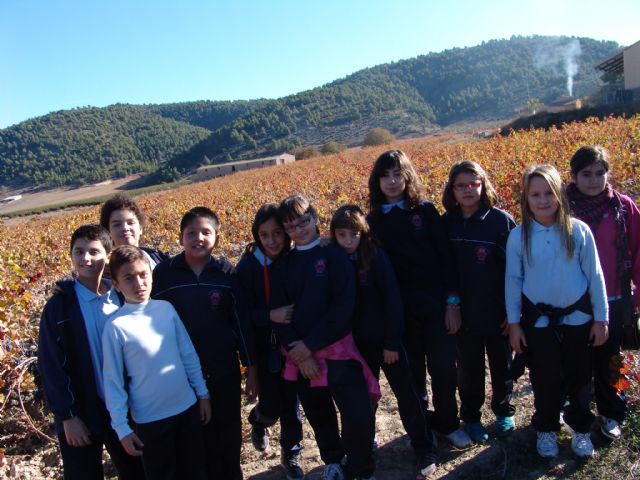 Los escolares del Colegio Amor de Dios visitan la Bodega Monastrell para conocer, in situ, la problemática del cambio climático - 4, Foto 4