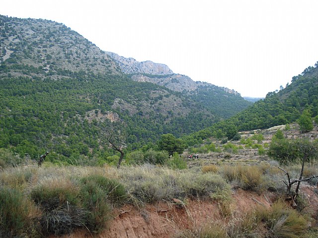 El pasado domingo 13 de Noviembre se celebraba por parte del club senderista de Totana una nueva ruta programada en su calendario de actividades - 1