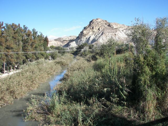 El Concejal de Servicios vuelve a pedir a la CHS la limpieza al menos dos veces al año del cauce del río - 1, Foto 1