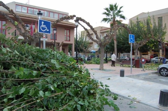 Arranca la poda de las moreras - 2, Foto 2