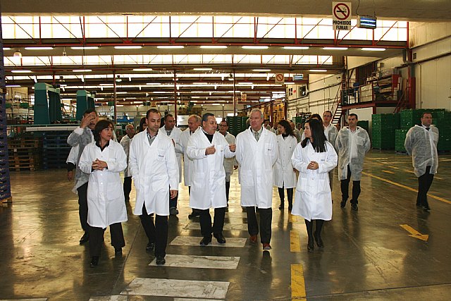 Valcárcel reitera la importancia de pelear en Europa por los intereses del sector de frutas y hortalizas de la Región - 1, Foto 1