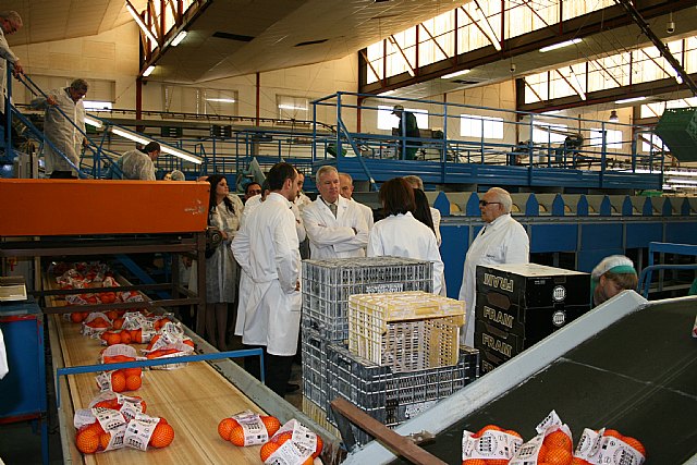 Valcárcel reitera la importancia de pelear en Europa por los intereses del sector de frutas y hortalizas de la Región - 2, Foto 2