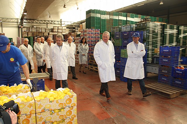 Valcárcel reitera la importancia de pelear en Europa por los intereses del sector de frutas y hortalizas de la Región - 3, Foto 3