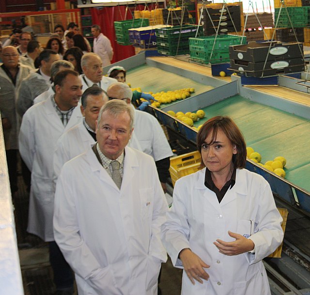 Valcárcel reitera la importancia de pelear en Europa por los intereses del sector de frutas y hortalizas de la Región - 4, Foto 4