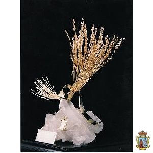 El Ayuntamiento entregará el próximo 26 de noviembre el Trofeo Espiga de Oro - 2, Foto 2