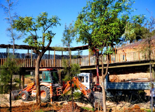 Terra Natura Murcia inicia la plantación de más de 300 árboles para ampliar las zonas verdes - 1, Foto 1