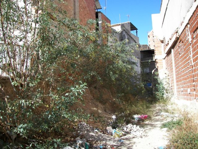 La Concejalía de Medio Ambiente ofrece más facilidades a los propietarios de solares para que los limpien en un plazo corto de tiempo - 1, Foto 1