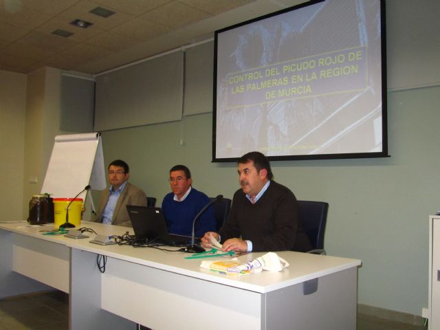 Gran acogida de la charla sobre el control del picudo rojo de las palmeras, Foto 2