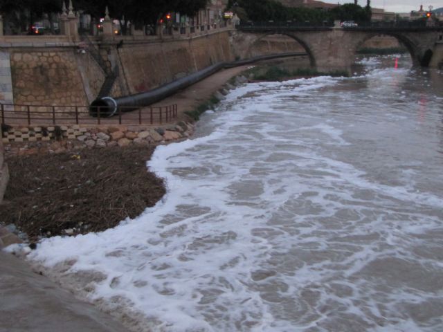 IU-Verdes pide a ayuntamiento y CHS que determinen el origen de espuma en el río Segura - 1, Foto 1