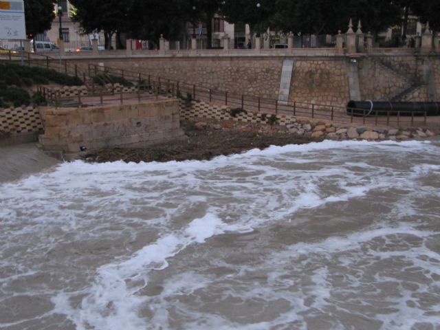IU-Verdes pide a ayuntamiento y CHS que determinen el origen de espuma en el río Segura - 2, Foto 2